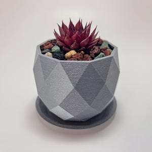 May include: A geometric, gray planter with a matching saucer holds a vibrant red succulent. The planter's faceted design adds a modern touch. The succulent is surrounded by small, colorful stones.