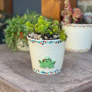 Frog Planter