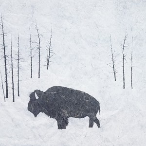 Winter Bison - HUGE Original Linocut (Gray, Blue, or Brown)