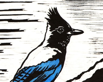 Steller&#39;s Jay  - Original Linocut