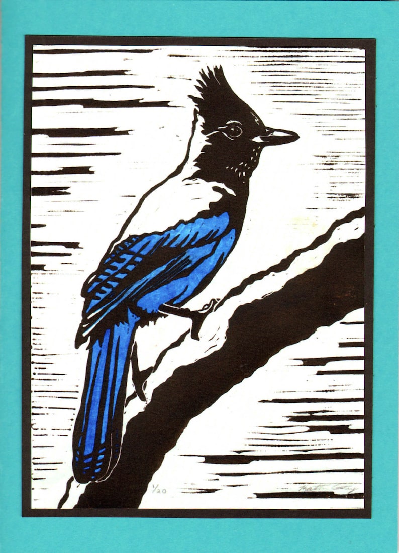 5 Handmade Steller's Jay Cards Turquoise image 1