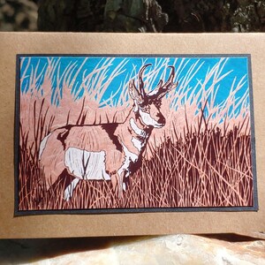 5 Handmade Pronghorn Cards (Light Brown or Turquoise)