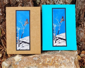 5 Handmade "The Sun Dance of Flickers" Cards (Brown or Turquoise)