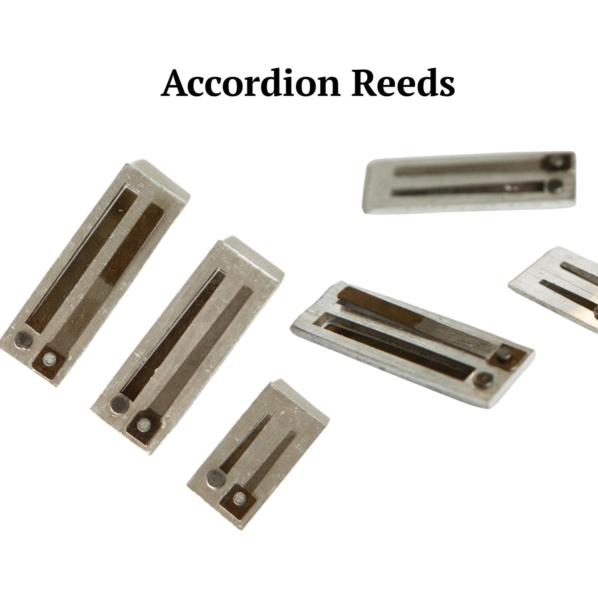 Meatal Reed Accordion Reeds – Ukrainian Reed for Repair or Upgrade – Treble and ...