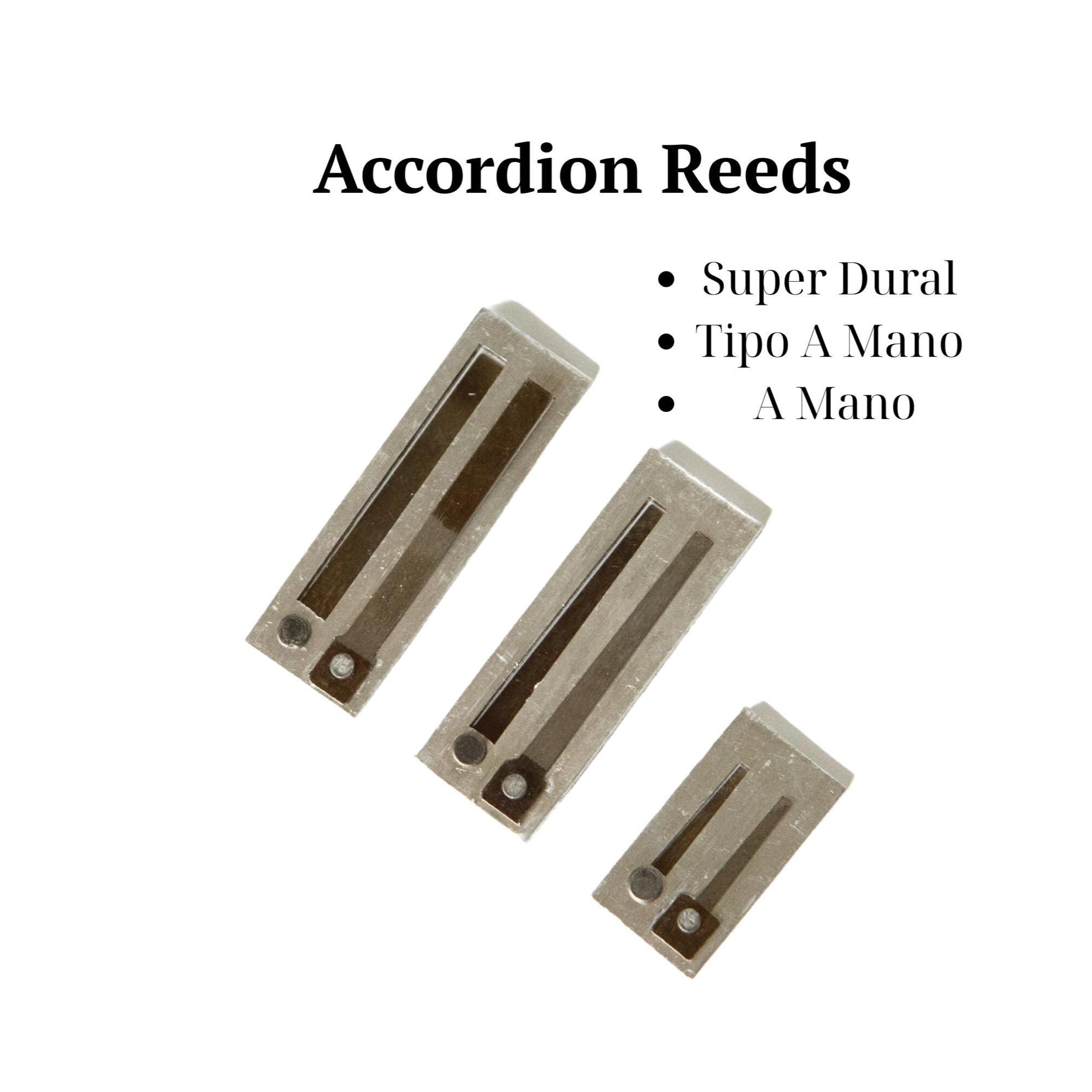 Accordion Reeds – Ukrainian Reed for Repair or Upgrade – Treble