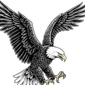Bald Eagle SVG, American Eagle gesneden bestand, symbool van vrijheid, strakke lijntekeningen, patriottische SVG voor Cricut, DXF, JPEG, Png | Commercieel gebruik