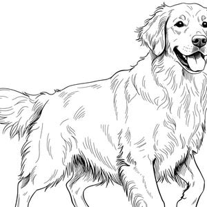 Golden Retriever SVG, contorno di Golden Retriever con linee pulite, file di taglio Cricut, DXF, JPEG, download digitale per uso commerciale per l'artigianato