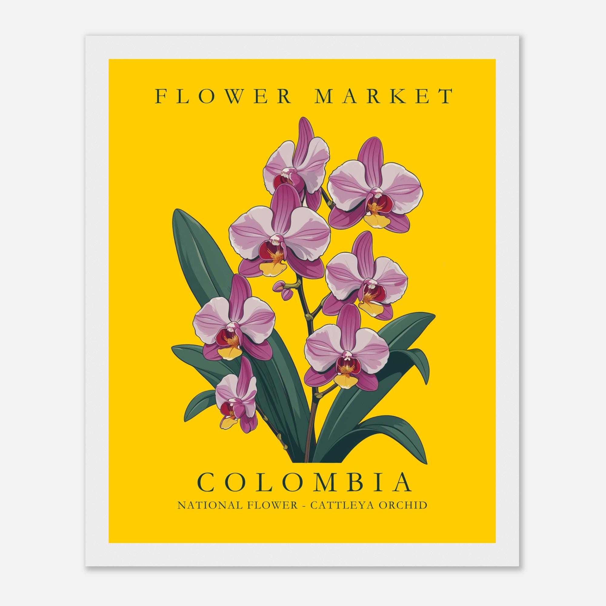 Colombia National Flower Market Poster, Cattleya Orchid Wall Art, Botanical  Floral Print, Bold Latin American Decor - Etsy, image size:2000x2000