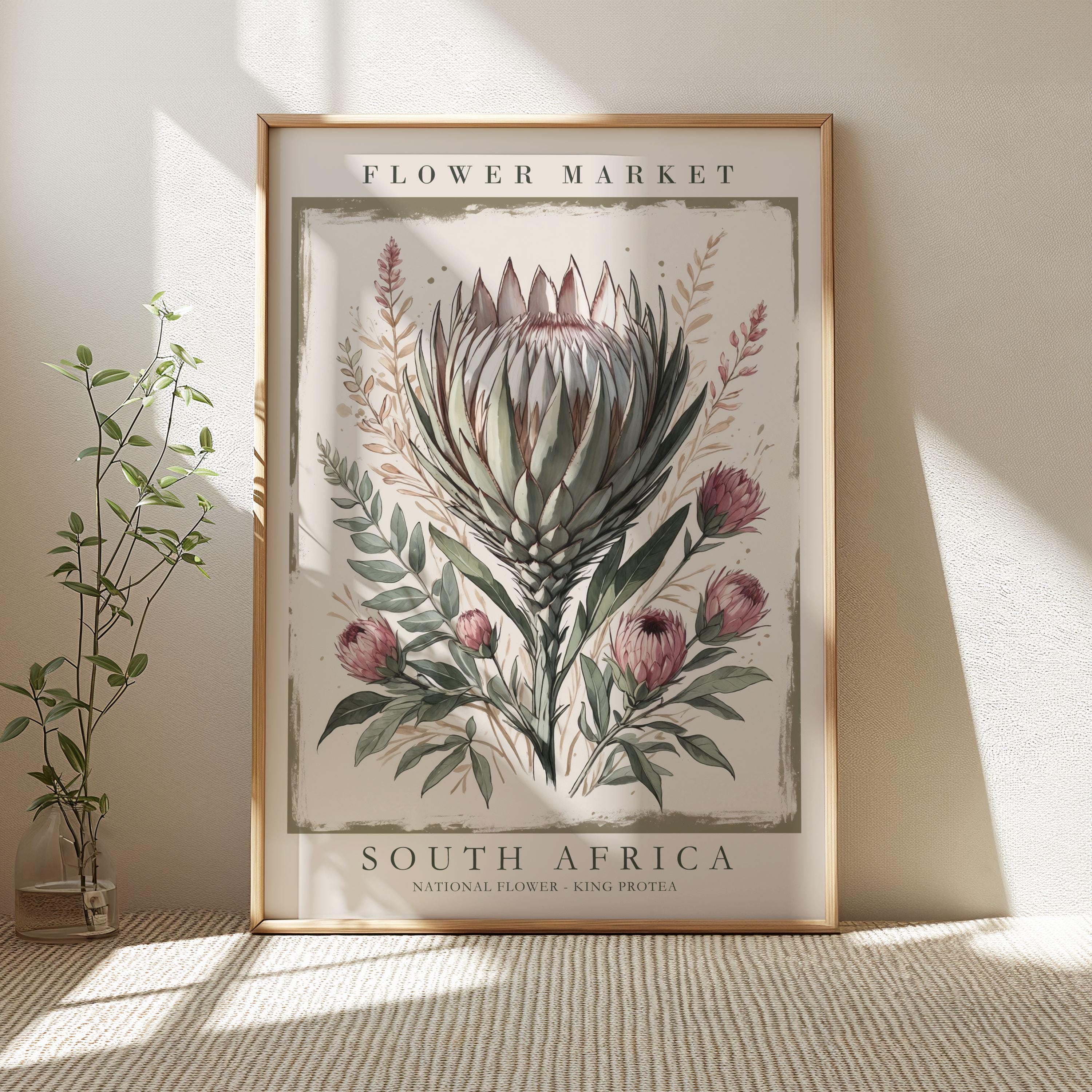 絵画 額縁付 プロテア protea pp,504x498-pad,600x600,f8f8f8.webp