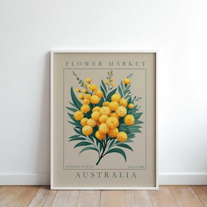 Impresión de flor del estado de Australia, arte mural de acacia dorada, póster botánico vintage, ilustración floral australiana, decoración de flores silvestres amarillas