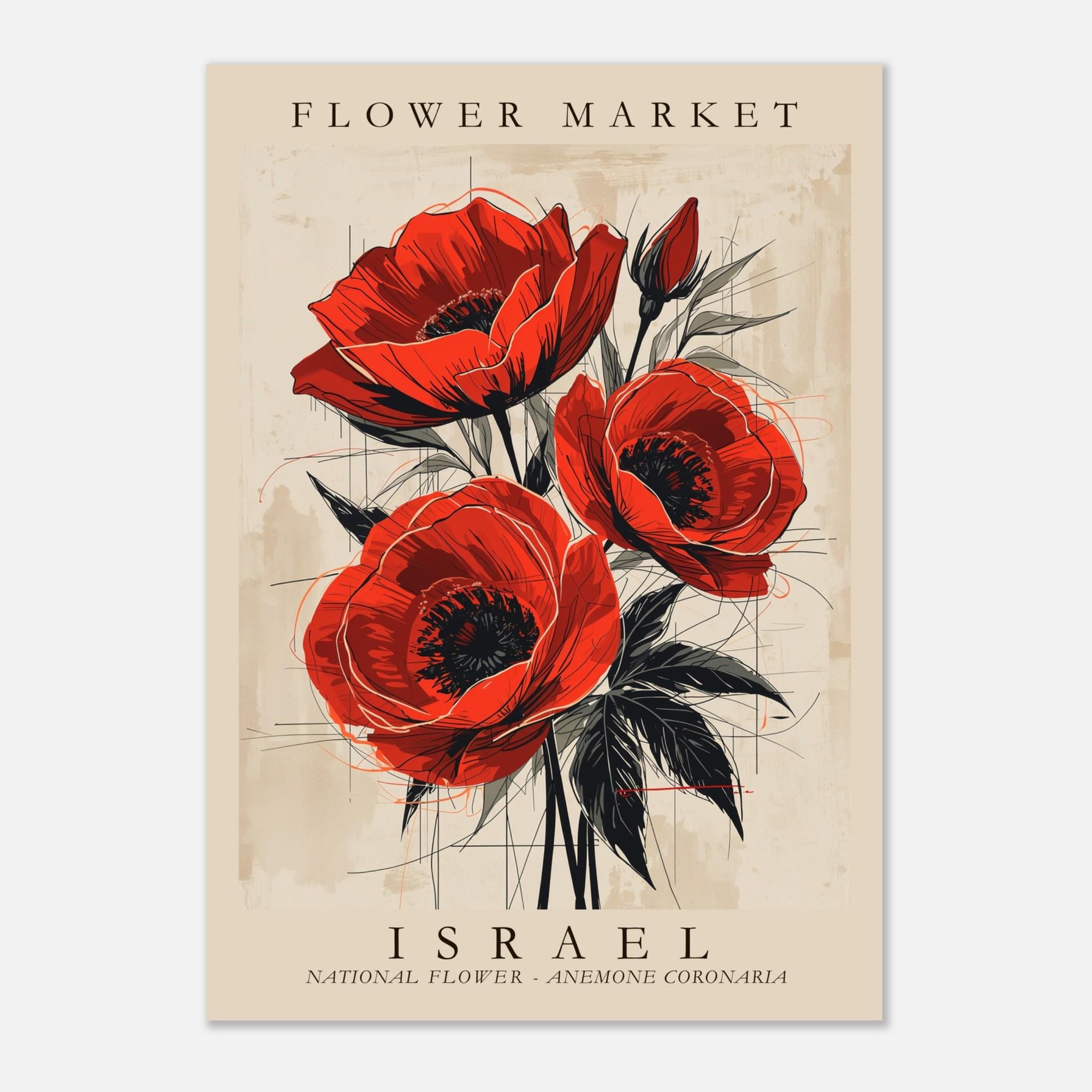 Red Anemone Flower Market Print, Vintage Israeli Botanical Art - Etsy