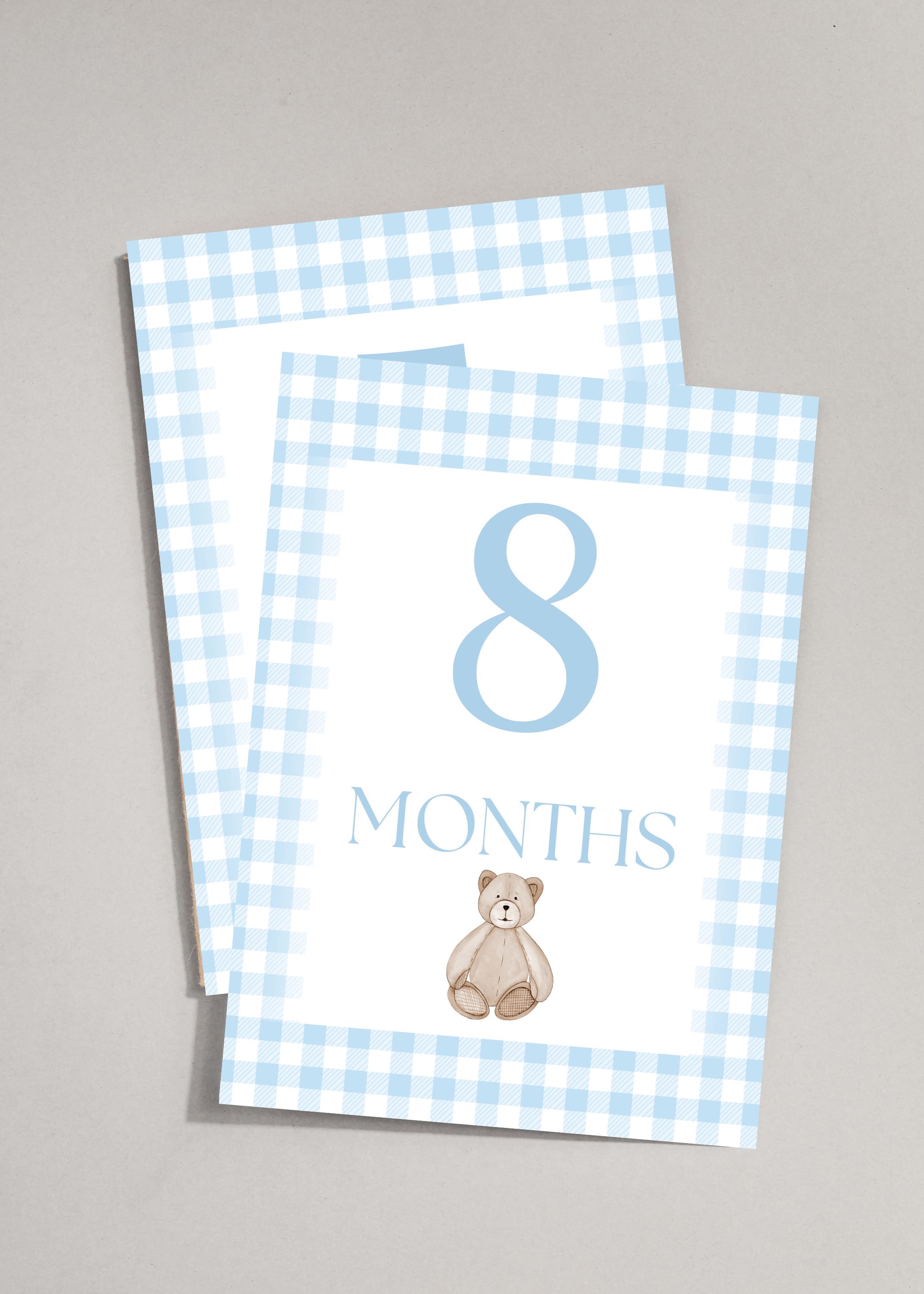 Blue Gingham Baby Milestone Cards | Printable Monthly Baby Milestones ...