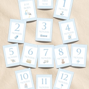 Schede di tappe fondamentali per neonati a quadretti blu / Tappe fondamentali mensili per neonati stampabili / Accessori per foto di neonati / Download digitale