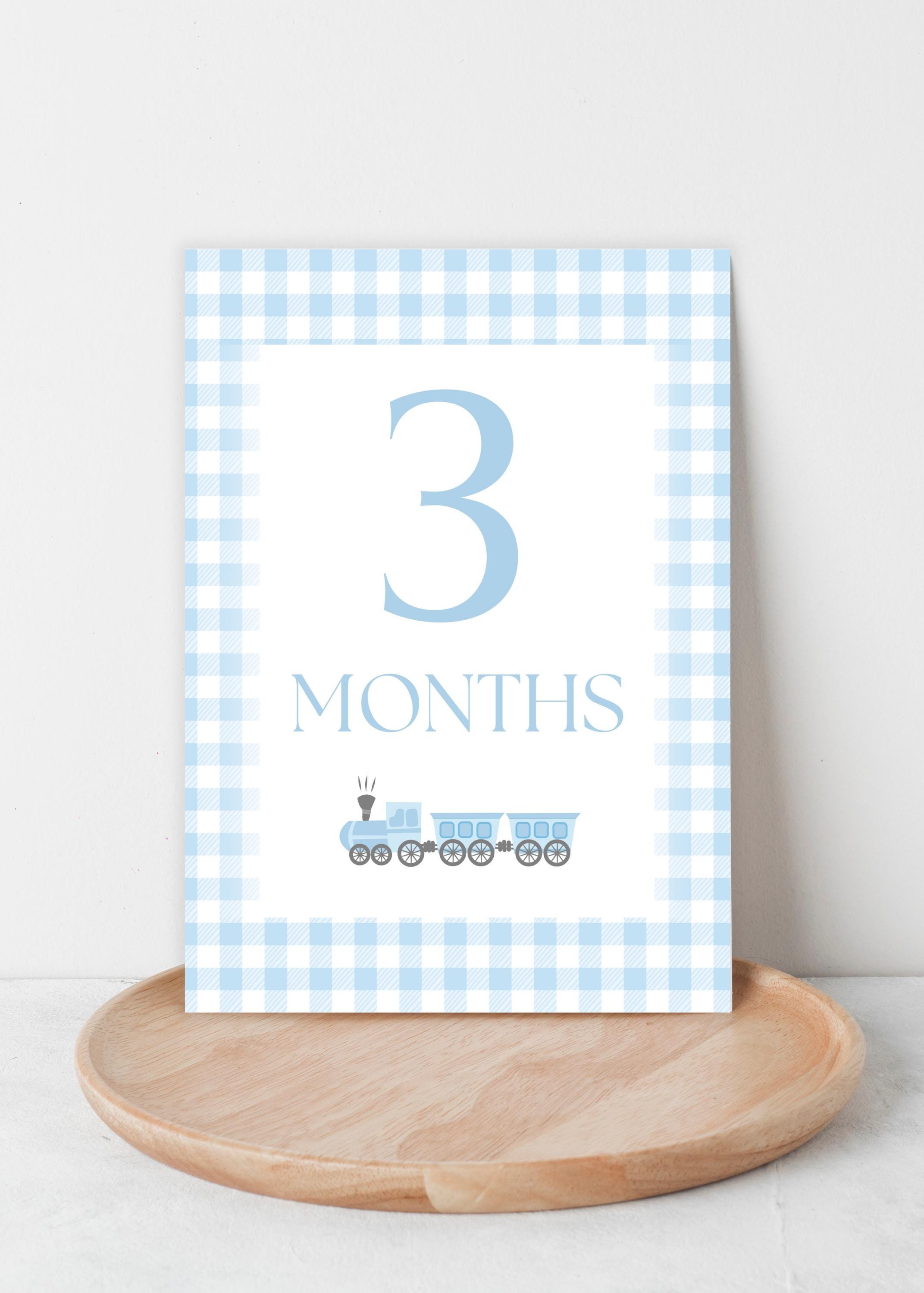 Blue Gingham Baby Milestone Cards | Printable Monthly Baby Milestones ...