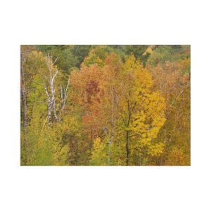 Cartoline con paesaggi autunnali - Cancelleria artistica, decorazioni naturali, auguri stagionali, collezione autunnale, regalo per gli amanti dell'arte