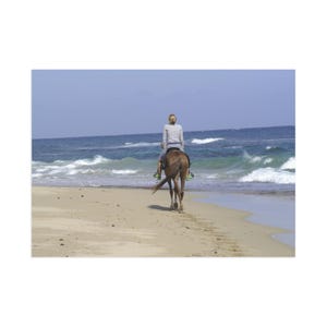 Sereen paardrijden Fine Art ansichtkaarten - Coastal Retreat, Beach Vibes, ruitercadeaus, woondecoratie, oceaanliefhebbers, kunstverzamelaars