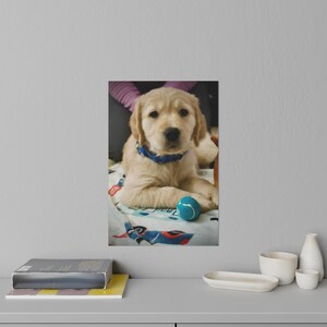 Adorable Puppy Wall Decals, Pet Decor, Kids Room Wall Art, Dog Lover Gift, Nursery Decor, Animal Wall Stickers