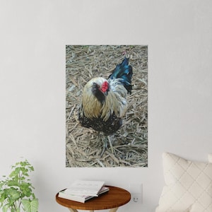 Country Chicken Wall Decal, Farmhouse Decor, Rustic Home Art, Chicken Lover Gift, Nature Wall Art, Animal Wall Decor