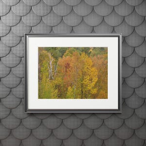 Autumn Landscape Fine Art Print - Framed Wall Decor, Home Office Art, Seasonal Decor, Gift for Nature Lovers, Fall Decor