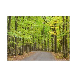 Schilderachtige ansichtkaarten voor kunst: serene schoonheid van de natuur voor het verzenden van liefde, cadeaus, woondecoratie, kunstliefhebbers, sfeer in het groene woud