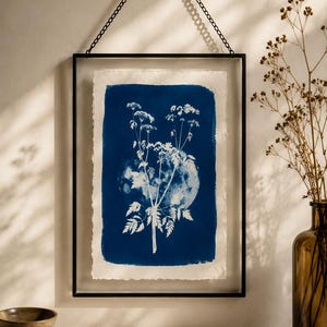 May include: A rectangular wall-mounted frame with a thin black metal border and a hanging chain. Inside, a cyanotype print on textured paper features a white silhouette of a flowering plant layered over a circular moon-like shape in deep blue.