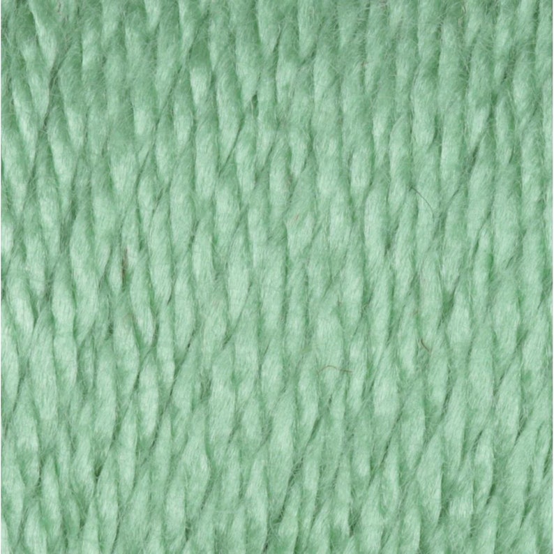 Light Sage Green Caron Simply Soft Solids Yarn Sage 9705 Etsy