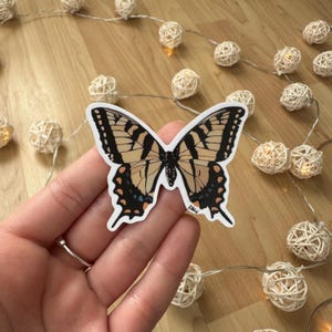 butterfly sticker
