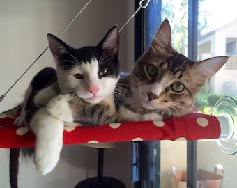 Polka Dots, Circles -  Curious Cats Window Perch