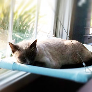 Blues, Greens - Curious Cats Window Perch