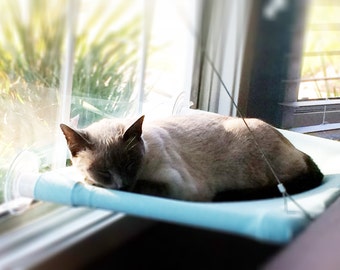 Blues, Greens - Curious Cats Window Perch