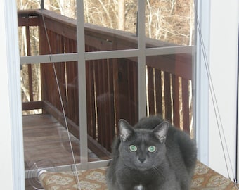 Yellows, Oranges - Curious Cats Window Perch