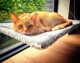 Manchester - Curious Cats Window Perch