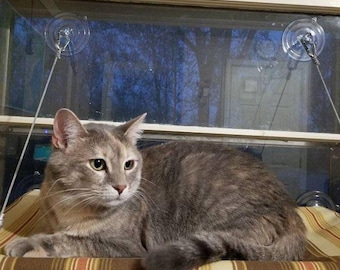 Browns, beiges - Curious Cats Window Perch