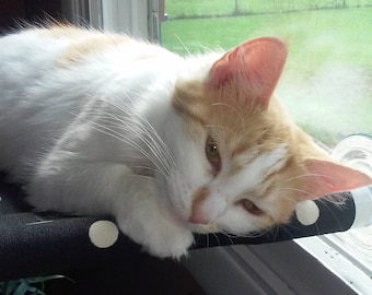 Sea Life - Curious Cats Window Perch