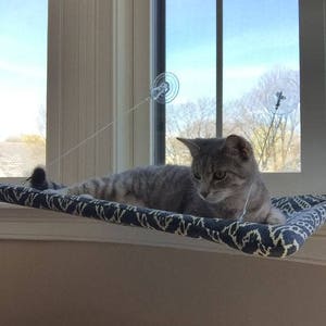 Patterns - Curious Cats Window Perch