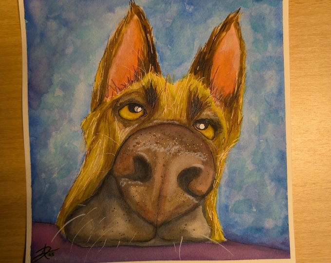 Original watercolor -  Bored Shepard 8.25"x 8"