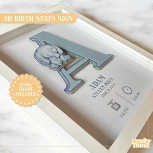 Personalized Baby Birth Stats Sign - Newborn Keepsake Gifs