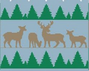 Winter Woods