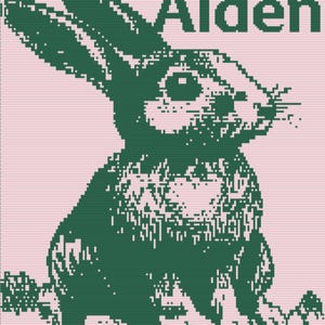 Hoppity Hop Mosaic Crochet Pattern (PDF)