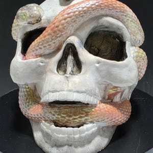 Puede incluir: Una escultura de calavera blanca con una serpiente enrollada alrededor. La serpiente es una mezcla de naranja, dorado y verde. La calavera tiene detalles, incluyendo cuencas de los ojos y cavidad nasal. La escultura est&aacute; sobre una superficie negra.