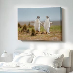 Happy Baby Penguins Decorative Canvas Painting, Framed Canvas Wall Art, Animal Canvas Wall Art, Animal Modern Wall Art, Large Wall Art