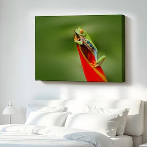 Colorful Frog Decorative Canvas Painting, Housewarming Gifts, Animal Modern Wall Art, Animal Canvas Wall Art, Framed Canvas Wall Art