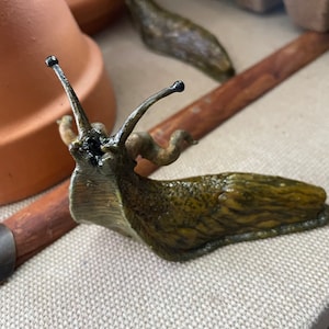 Horned Slug