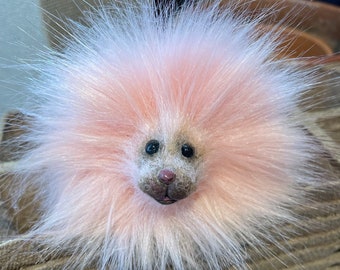 Magical Pigmy