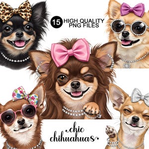 Chihuahua Clipart, Chihuahua PNG, Cute Dog Clipart, Stylish Dog Illustration, Sublimation, Card Making, Gift, Junk Journal, Commercial Use