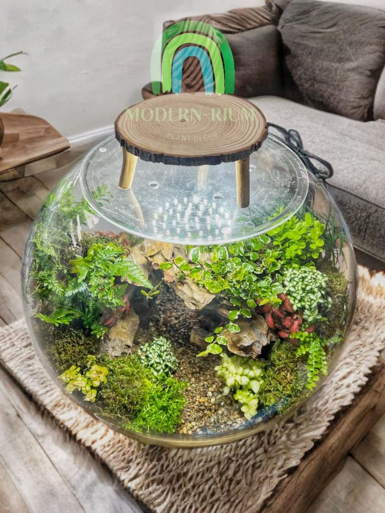 Mossbridge Hollow – Gateway Arch Terrarium in Glass Orb- DIY Kit - Etsy ...