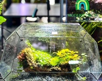 Sylva Arc – Geometric Woodland Terrarium- DIY KIT