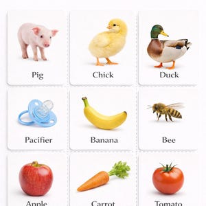 May include: Nine flashcards featuring a pig, chick, duck, pacifier, banana, bee, apple, carrot, and tomato. The text "96 First Words" and "Printable Flashcards for Toddlers" are displayed at the top of the image.