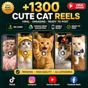 Puede incluir: Una colección digital de 1300 reels de gatos lindos en cinco pantallas de smartphone. El texto incluye +1300 CUTE CAT REELS, 100% REAL VIDEOS, VIRAL CONTENT, NO LOGO, GOOGLE DRIVE COLLECTION, MOBILE READY, READY TO POST, TRENDING, HIGH QUALITY, ALL CATEGORIES.