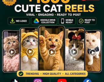 Lot de bobines virales pour chats : plus de 1 300 vidéos amusantes, mèmes (PLR MRR) téléchargement numérique